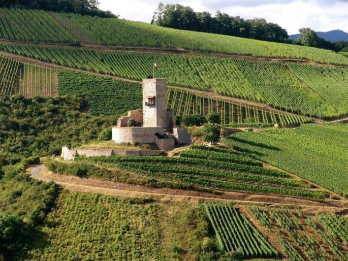 Gites Les Terrasses Du Wineck Katzenthal Exterior photo